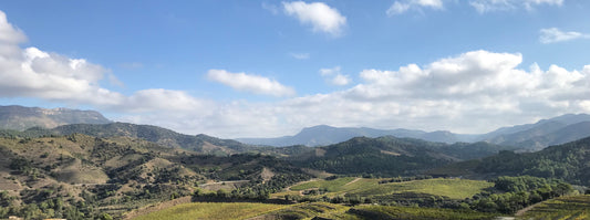 EL PRIORAT: MUCHO MÁS QUE UN TERRITORIO