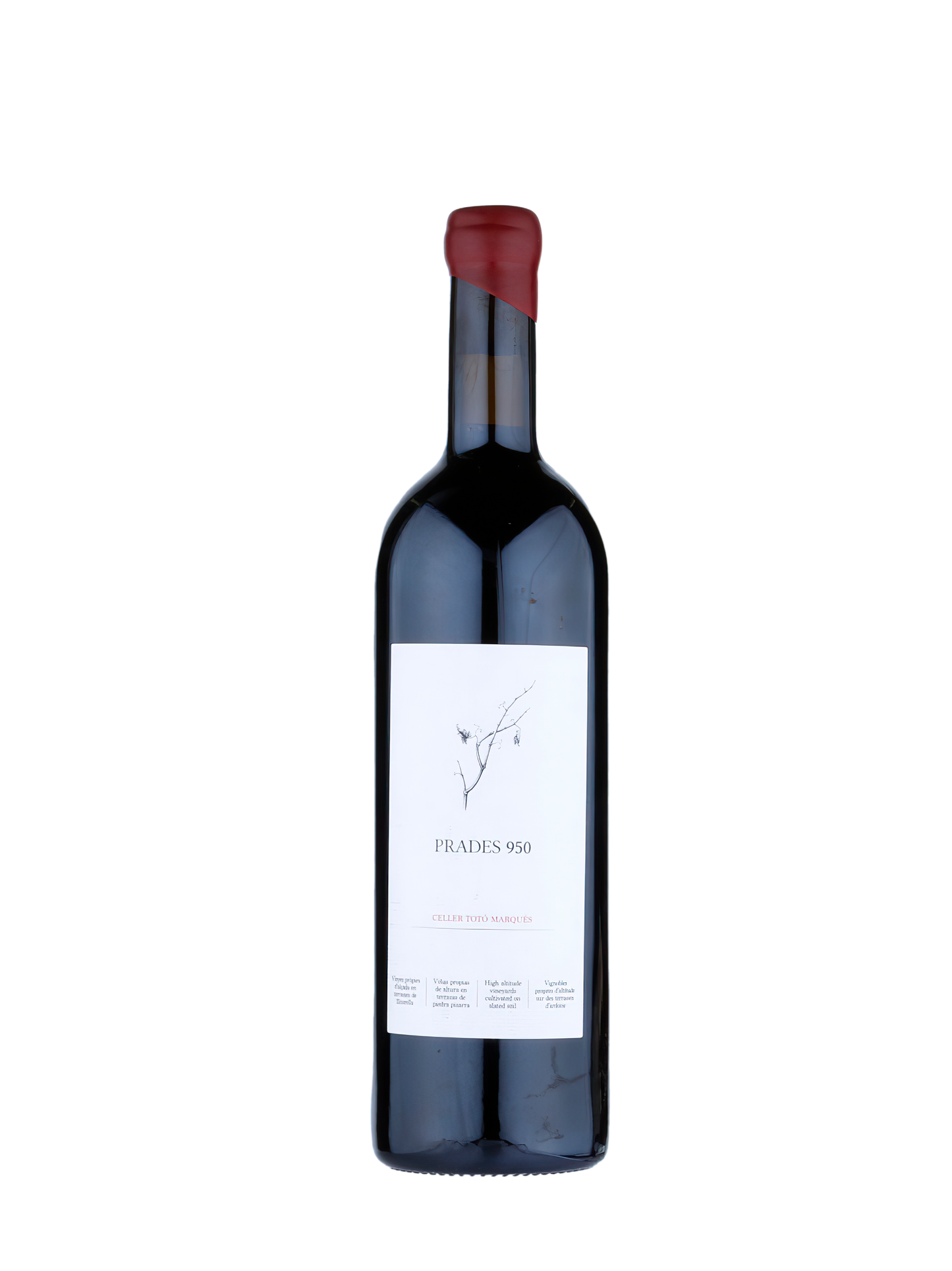 Productor de Vino tinto y Vino Blanco, Comprar vino online

Vino Ecológico de Altura. Vino del Priorat y Prades. Vino tinto y blanco. Cajas de vino online. Riesling, Garnacha, Pinot Noire, Chenin, Syrah. Productor de vino.