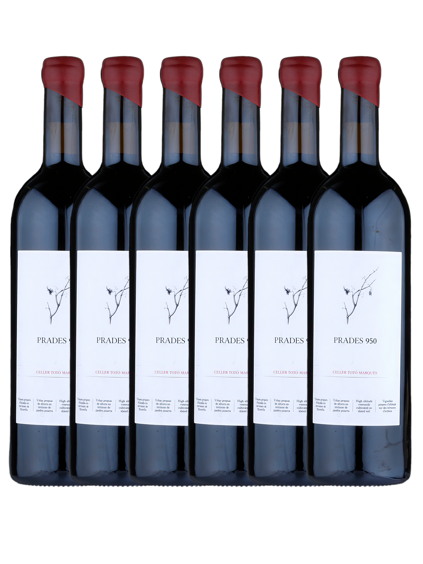 Productor de Vino tinto y Vino Blanco, Comprar vino online

Vino Ecológico de Altura. Vino del Priorat y Prades. Vino tinto y blanco. Cajas de vino online. Riesling, Garnacha, Pinot Noire, Chenin, Syrah. Productor de vino.